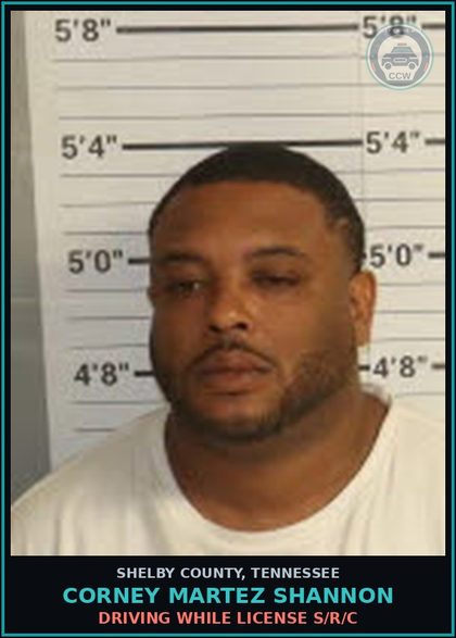 CCW arrest card for CORNEY MARTEZ SHANNON in Shelby County: DRIVING WHILE LICENSE S/R/C