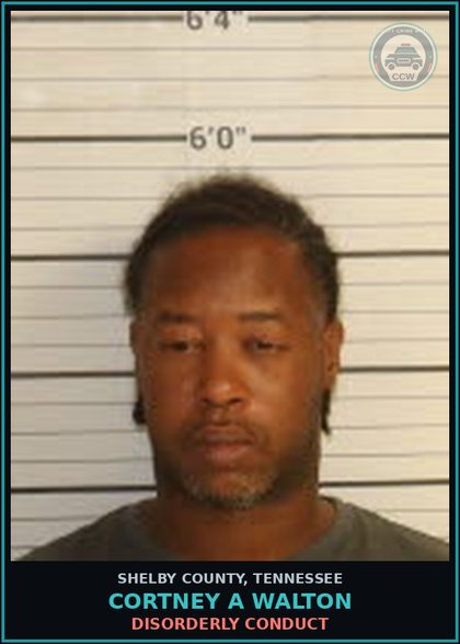 CCW arrest card for CORTNEY A WALTON in Shelby County: DISORDERLY CONDUCT