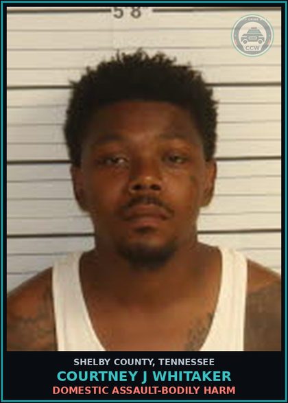 CCW arrest card for COURTNEY J WHITAKER in Shelby County: DOMESTIC ASSAULT-BODILY HARM