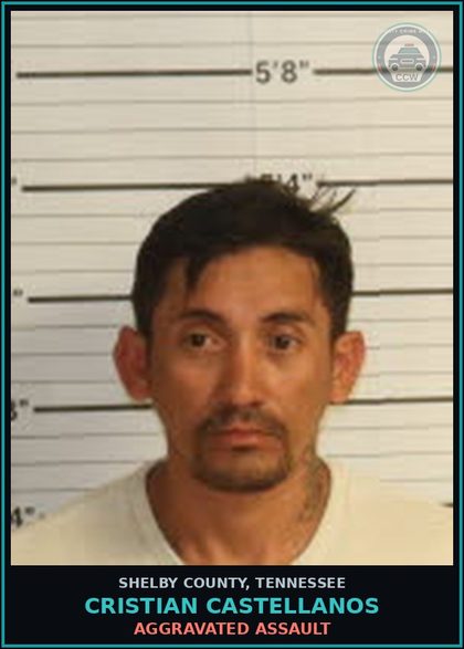 CCW arrest card for CRISTIAN CASTELLANOS in Shelby County: AGGRAVATED s3xual BATTERY