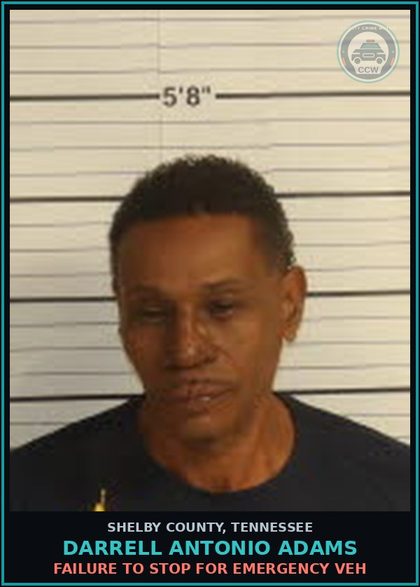 CCW arrest card for DARRELL ANTONIO ADAMS in Shelby County: FAILURE TO STOP FOR EMERGENCY VEH