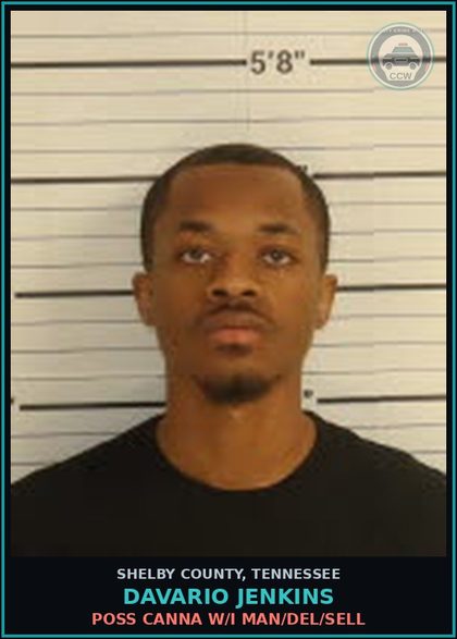 CCW arrest card for DAVARIO JENKINS in Shelby County: POSS Canna W/I MAN/DEL/SELL
