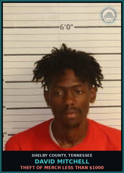 CCW arrest card for DAVID MITCHELL in Shelby County: EVADING ARREST