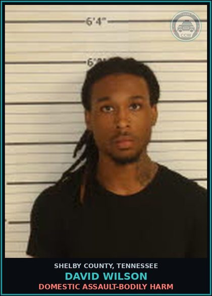 CCW arrest card for DAVID WILSON in Shelby County: DOMESTIC ASSAULT-BODILY HARM