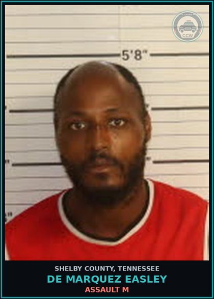CCW arrest card for DE MARQUEZ EASLEY in Shelby County: ASSAULT M