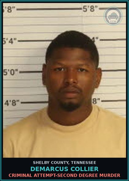 CCW arrest card for DEMARCUS COLLIER in Shelby County: CRIMINAL ATTEMPT-SECOND DEGREE MURDER