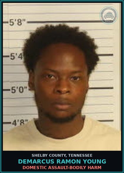 CCW arrest card for DEMARCUS RAMON YOUNG in Shelby County: DOMESTIC ASSAULT-BODILY HARM