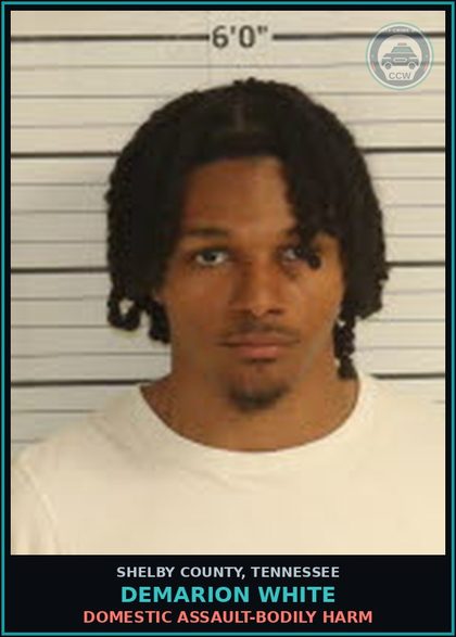 CCW arrest card for DEMARION WHITE in Shelby County: DOMESTIC ASSAULT-BODILY HARM