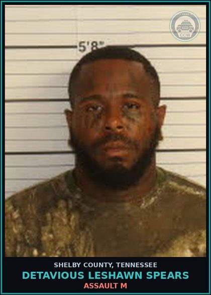 CCW arrest card for DETAVIOUS LESHAWN SPEARS in Shelby County: ASSAULT M