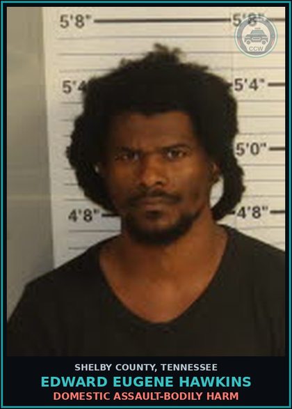 CCW arrest card for EDWARD EUGENE HAWKINS in Shelby County: DOMESTIC ASSAULT-BODILY HARM