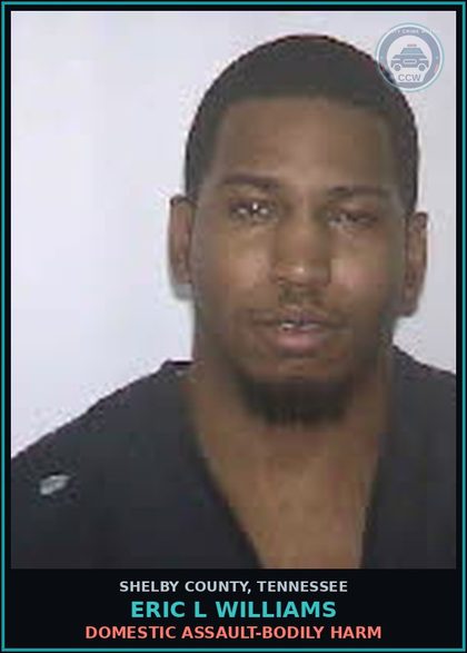 CCW arrest card for ERIC L WILLIAMS in Shelby County: DOMESTIC ASSAULT-BODILY HARM