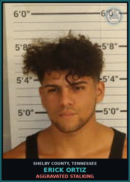 CCW arrest card for ERICK ORTIZ in Shelby County: AGGRAVATED STALKING