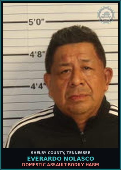 CCW arrest card for EVERARDO NOLASCO in Shelby County: DOMESTIC ASSAULT-BODILY HARM