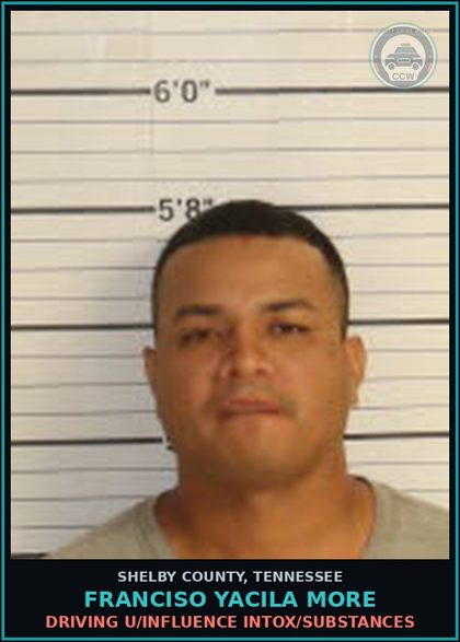 CCW arrest card for FRANCISO YACILA MORE in Shelby County: DRIVING U/INFLUENCE INTOX/DRUGS