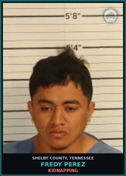 CCW arrest card for FREDY PEREZ in Shelby County: AGGRAVATED ASSAULT