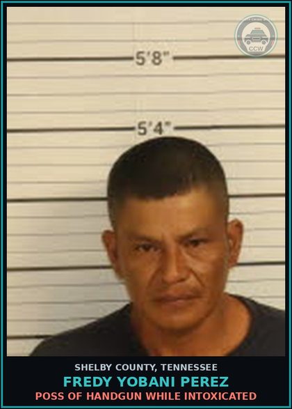 CCW arrest card for FREDY YOBANI PEREZ in Shelby County: OPEN CONTAINER LAW