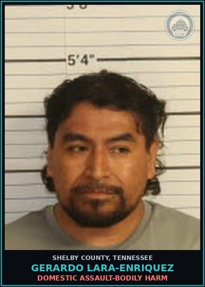 CCW arrest card for GERARDO LARA-ENRIQUEZ in Shelby County: DOMESTIC ASSAULT-BODILY HARM
