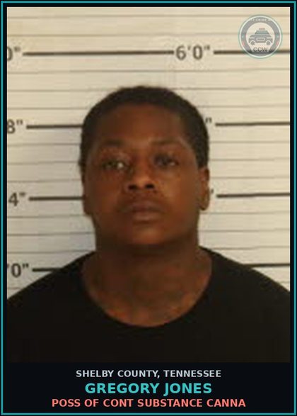 CCW arrest card for GREGORY JONES in Shelby County: POSS OF CONT SUBSTANCE Canna