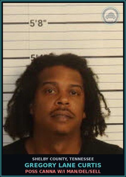 CCW arrest card for GREGORY LANE CURTIS in Shelby County: POSS Canna W/I MAN/DEL/SELL