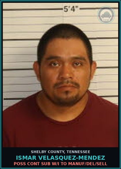 CCW arrest card for ISMAR VELASQUEZ-MENDEZ in Shelby County: NO DRIVER LICENSE