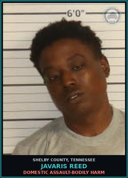 CCW arrest card for JAVARIS REED in Shelby County: DOMESTIC ASSAULT-BODILY HARM