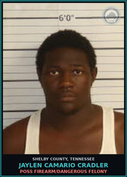 CCW arrest card for JAYLEN CAMARIO CRADLER in Shelby County: POSS FIREARM/DANGEROUS FELONY