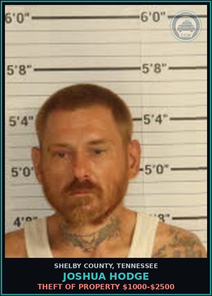 CCW arrest card for JOSHUA HODGE in Shelby County: THEFT OF PROPERTY $1000-$2500