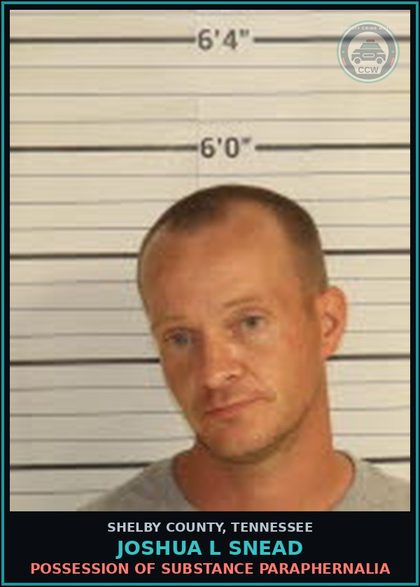 CCW arrest card for JOSHUA L SNEAD in Shelby County: VIOL OF SEAT BELT LAW OVER 18 YRS