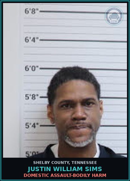 CCW arrest card for JUSTIN WILLIAM SIMS in Shelby County: DOMESTIC ASSAULT-BODILY HARM