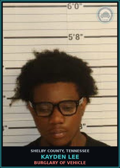 CCW arrest card for KAYDEN LEE in Shelby County: BURGLARY OF VEHICLE
