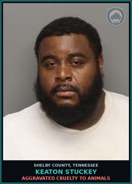 CCW arrest card for KEATON STUCKEY in Shelby County: AGGRAVATED CRUELTY TO ANIMALS