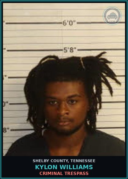 CCW arrest card for KYLON WILLIAMS in Shelby County: VANDALISM $1000 OR LESS