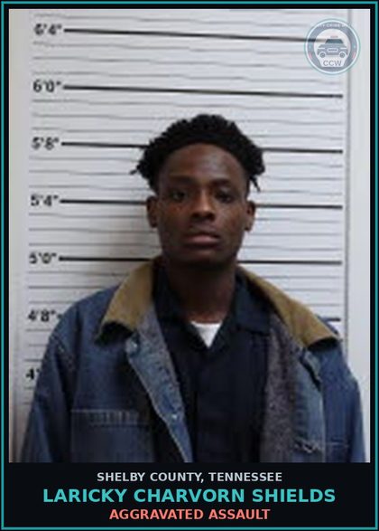 CCW arrest card for LARICKY CHARVORN SHIELDS in Shelby County: AGGRAVATED ASSAULT