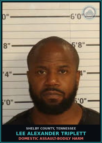 CCW arrest card for LEE ALEXANDER TRIPLETT in Shelby County: DOMESTIC ASSAULT-BODILY HARM