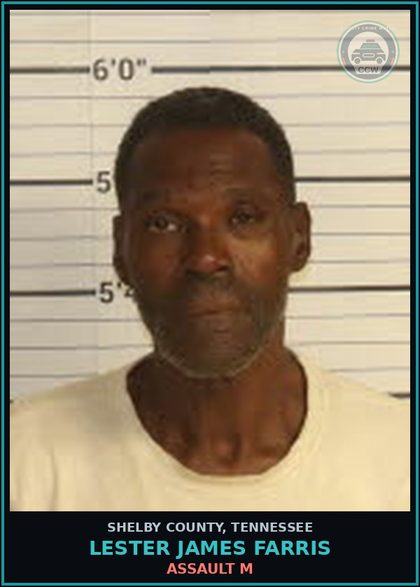 CCW arrest card for LESTER JAMES FARRIS in Shelby County: ASSAULT M