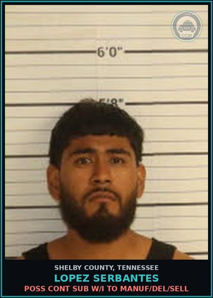 CCW arrest card for LOPEZ SERBANTES in Shelby County: POSS CONT SUB W/I TO MANUF/DEL/SELL