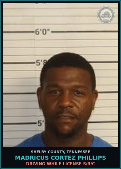 CCW arrest card for MADRICUS CORTEZ PHILLIPS in Shelby County: DRIVING WHILE LICENSE S/R/C