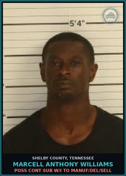 CCW arrest card for MARCELL ANTHONY WILLIAMS in Shelby County: DRIVING WHILE LICENSE S/R/C