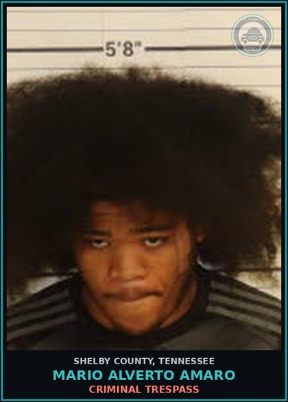 CCW arrest card for MARIO ALVERTO AMARO in Shelby County: CRIMINAL TRESPASS