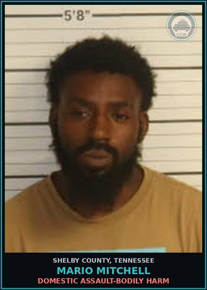 CCW arrest card for MARIO MITCHELL in Shelby County: DOMESTIC ASSAULT-BODILY HARM