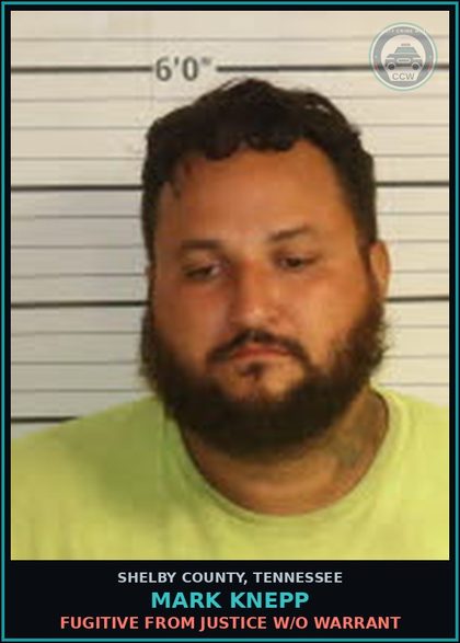 CCW arrest card for MARK KNEPP in Shelby County: FUGITIVE FROM JUSTICE W/O WARRANT