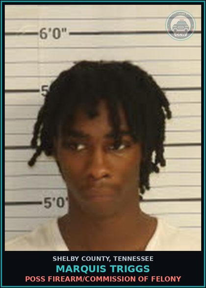 CCW arrest card for MARQUIS TRIGGS in Shelby County: POSS FIREARM/COMMISSION OF FELONY