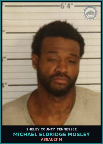 CCW arrest card for MICHAEL ELDRIDGE MOSLEY in Shelby County: ASSAULT M