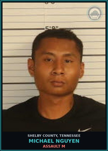 CCW arrest card for MICHAEL NGUYEN in Shelby County: ASSAULT M