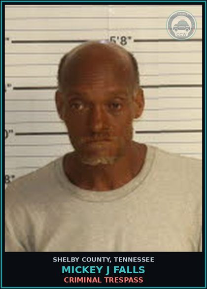 CCW arrest card for MICKEY J FALLS in Shelby County: CRIMINAL TRESPASS