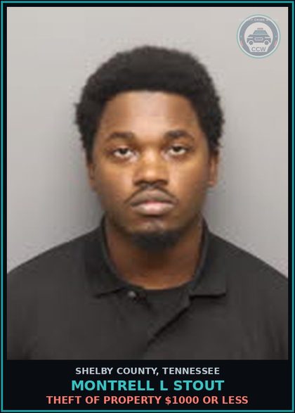 CCW arrest card for MONTRELL L STOUT in Shelby County: THEFT OF PROPERTY $1000 OR LESS