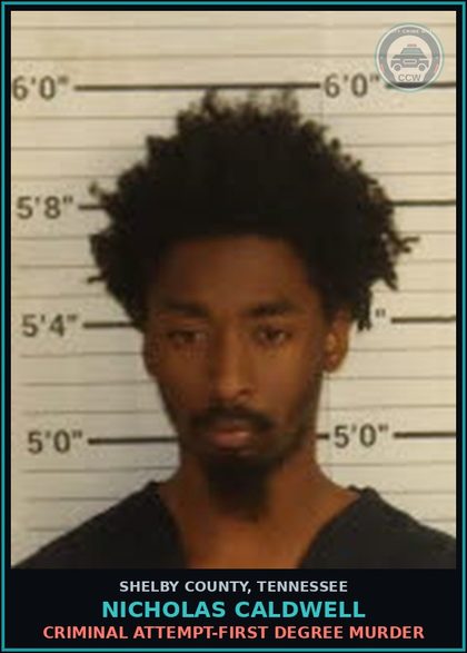 CCW arrest card for NICHOLAS CALDWELL in Shelby County: EMPLOY FIREARM W/I TO COMMIT FELONY