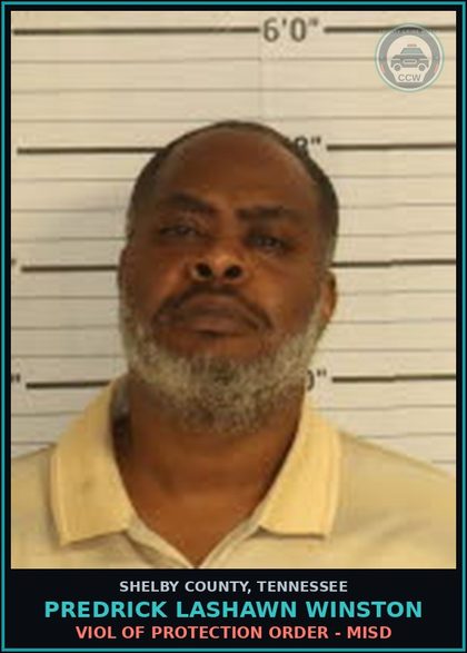CCW arrest card for PREDRICK LASHAWN WINSTON in Shelby County: VIOL OF PROTECTION ORDER - MISD
