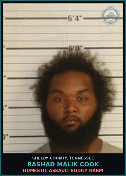 CCW arrest card for RASHAD MALIK COOK in Shelby County: DOMESTIC ASSAULT-BODILY HARM