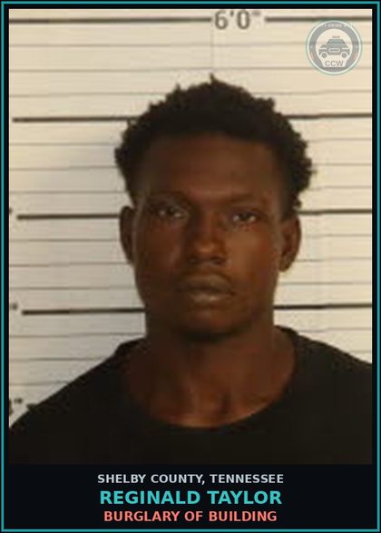 CCW arrest card for REGINALD TAYLOR in Shelby County: POSSESSION OF DRUG PARAPHERNALIA